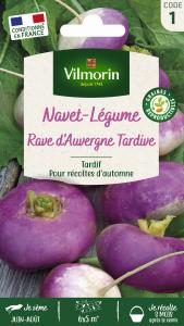 Navet-Légume Rave d'Auvergne Tardive à Collet Rouge